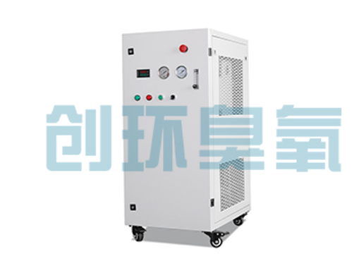 船营石斑鱼养殖水质调控完整指南:臭氧发生器配置与操作步骤