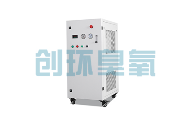 船营比传统换水更高效?臭氧发生器在石斑鱼养殖中的水质净化原理解析