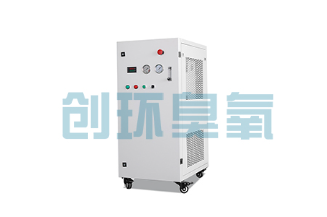 船营比传统换水更高效？臭氧发生器在石斑鱼养殖中的水质净化原理解析